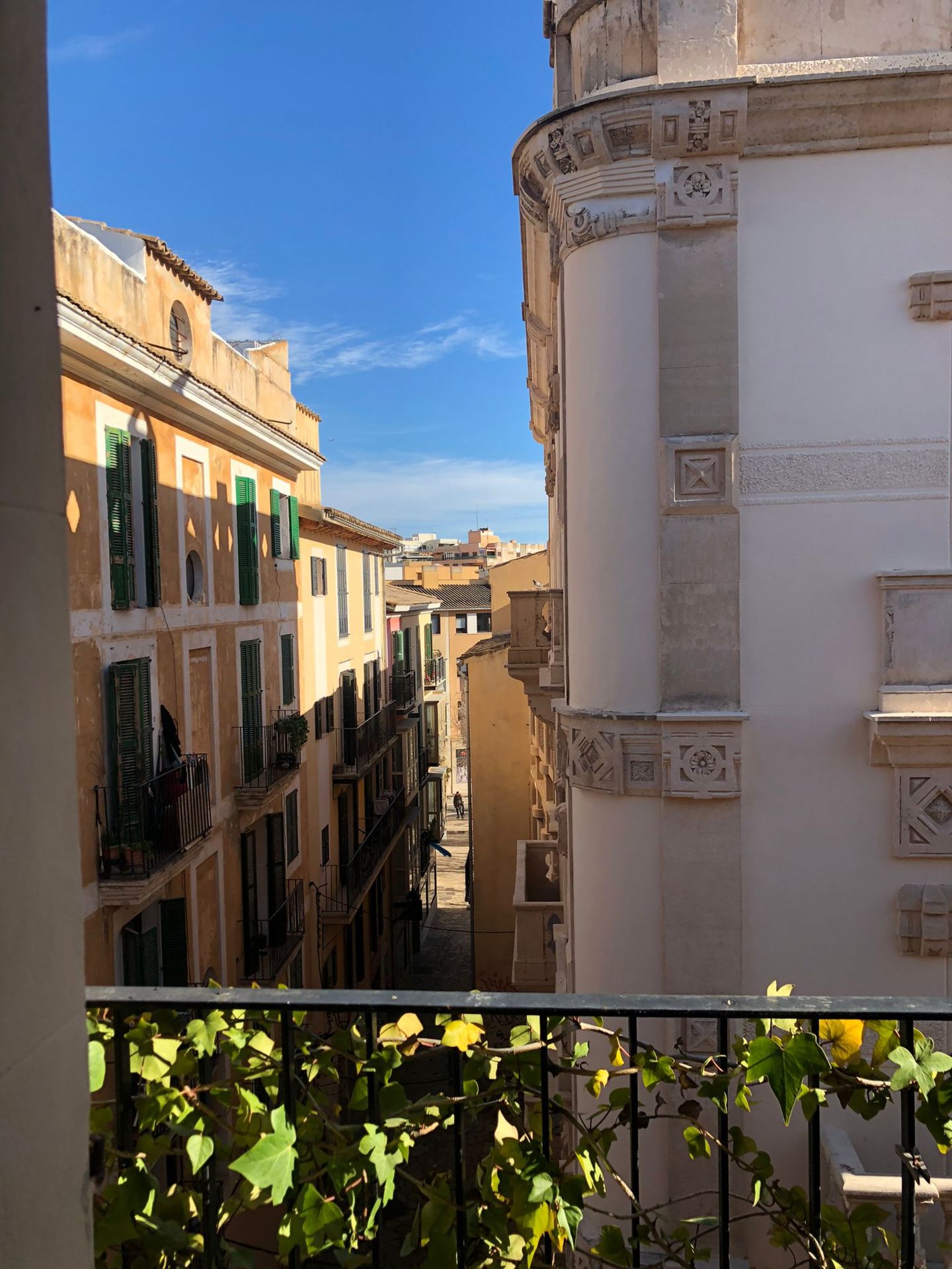 Blick auf Palmas Altstadt